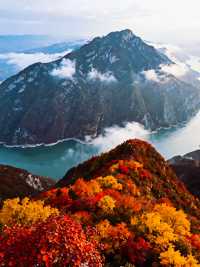 三峽之巔徒步｜紅葉季漫山紅遍絕美超治癒