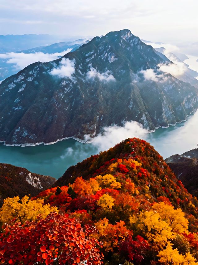 三峽之巔徒步｜紅葉季漫山紅遍絕美超治癒