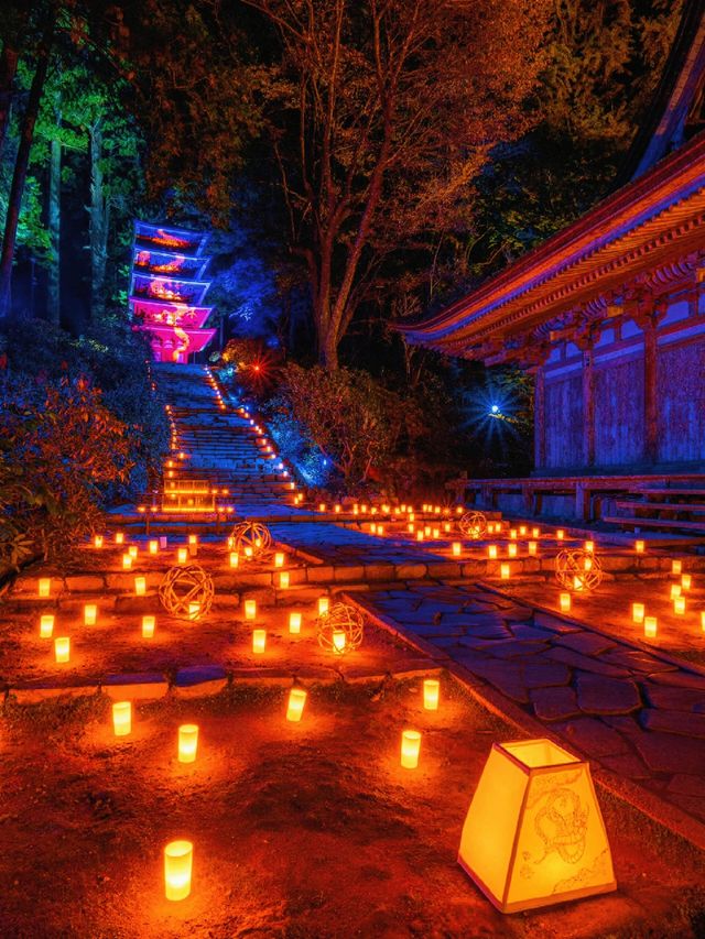 爆美！！！奈良室生寺紅葉燈光展·小眾秘境打卡指南