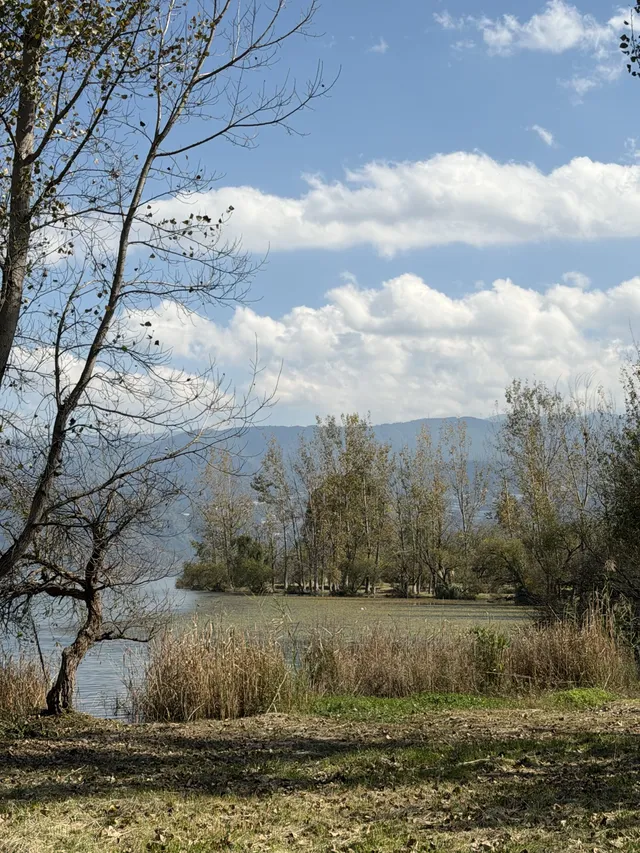 11月的西昌|環海騎行電動車解鎖隱藏觀景點 11月的西昌|環海騎行電動車解鎖隱藏觀景點