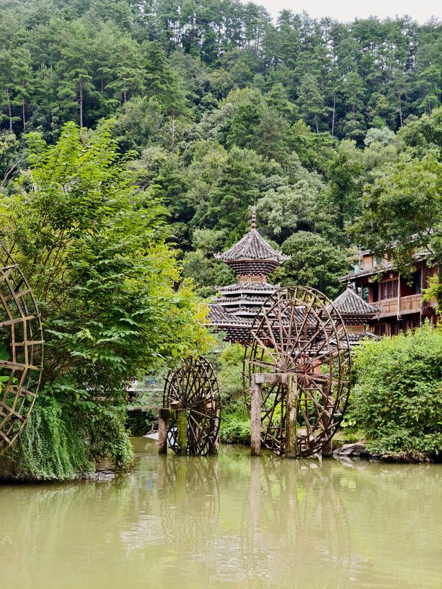 肇興侗寨&堂安梯田|人均800三天兩晚