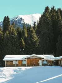 伊犁|冬天的避寒之地