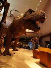 Самый красивый Шанхайский музей природы 🦖🇨🇳