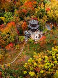 高鐵直達!快來皖南這個避世小鎮賞絕美秋色吧