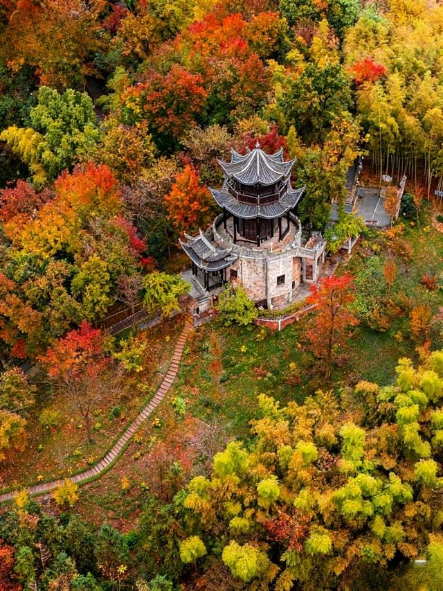 高鐵直達!快來皖南這個避世小鎮賞絕美秋色吧 高鐵直達!快來皖南這個避世小鎮賞絕美秋色吧