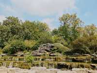 一場與花藥同行的邂逅