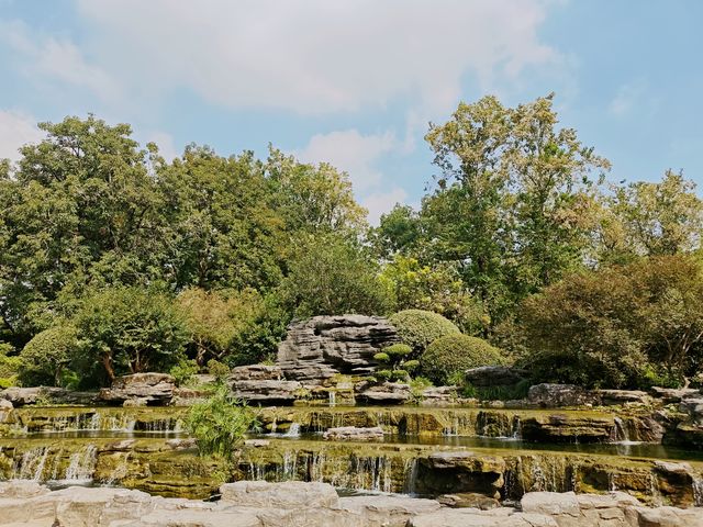 一場與花藥同行的邂逅