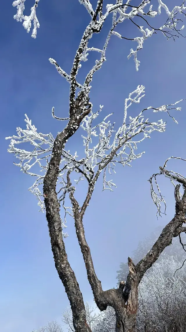 西嶺雪山真的值得🫶