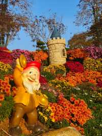 12月去南寧青秀山保姆級攻略