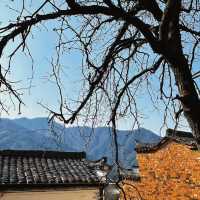 上饒婺源篁嶺攻略：一場懸掛在山崖上的曬秋童話