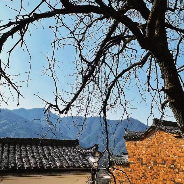 上饒婺源篁嶺攻略：一場懸掛在山崖上的曬秋童話