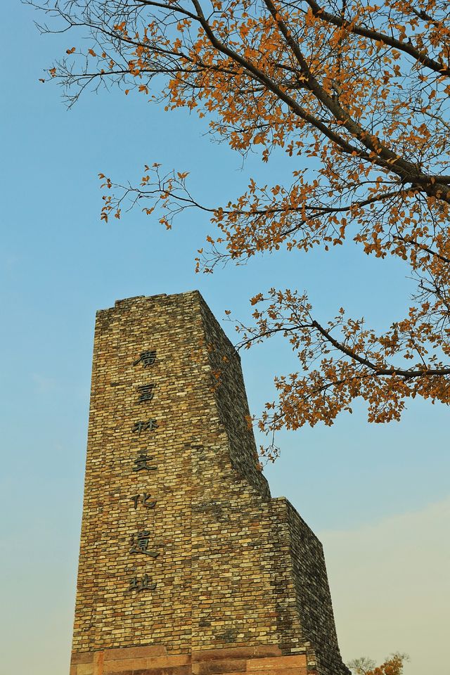 廣富林的深秋中式美學達到巔峰! 廣富林的深秋中式美學達到巔峰!