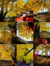 廣漢3日深度遊攻略探源古蜀+溫泉+美食,高鐵18min直達