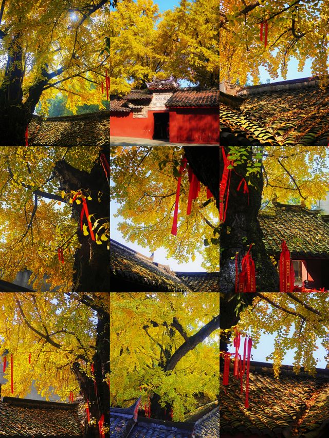 廣漢3日深度遊攻略探源古蜀+溫泉+美食,高鐵18min直達 廣漢3日深度遊攻略探源古蜀+溫泉+美食,高鐵18min直達