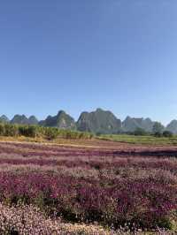 趕一場山水之約，廣西等你來野～