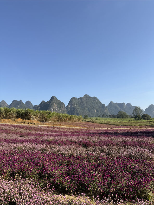 趕一場山水之約，廣西等你來野～
