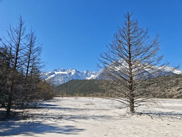 玉龍雪山千河壩徒步攻略｜11.29實況