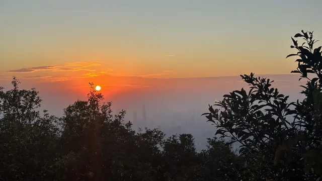 偶遇梧桐日落 偶遇梧桐日落