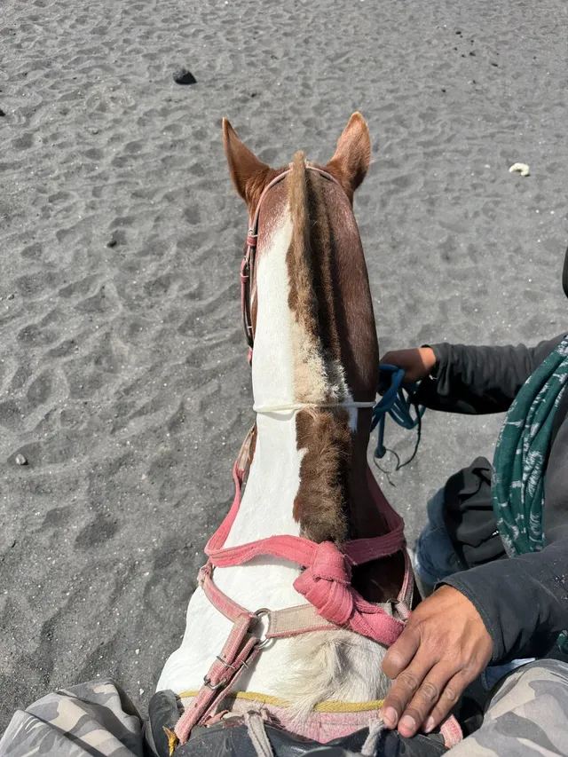 bobromo火山實拍！勇敢的人先享受世界