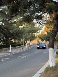 青島冬日Seawalk新路線太平角公園拍照攻略Get!