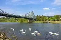 冬天歐洲連遊攻略錯過等一年啊