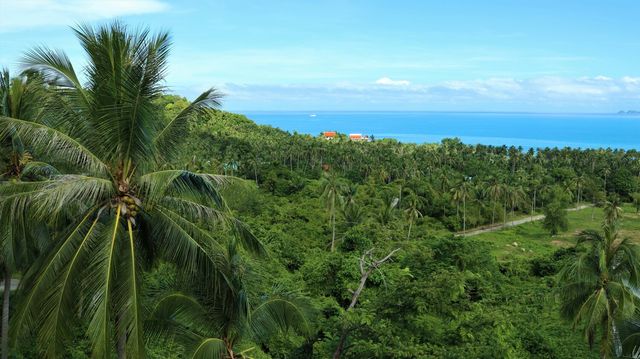 湄南寇德酒店|度假天堂山頂小屋