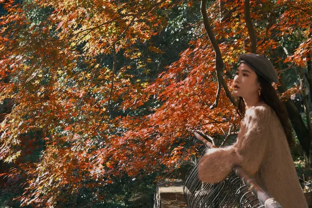 總要去莫干山看一次楓葉吧! 總要去莫干山看一次楓葉吧!