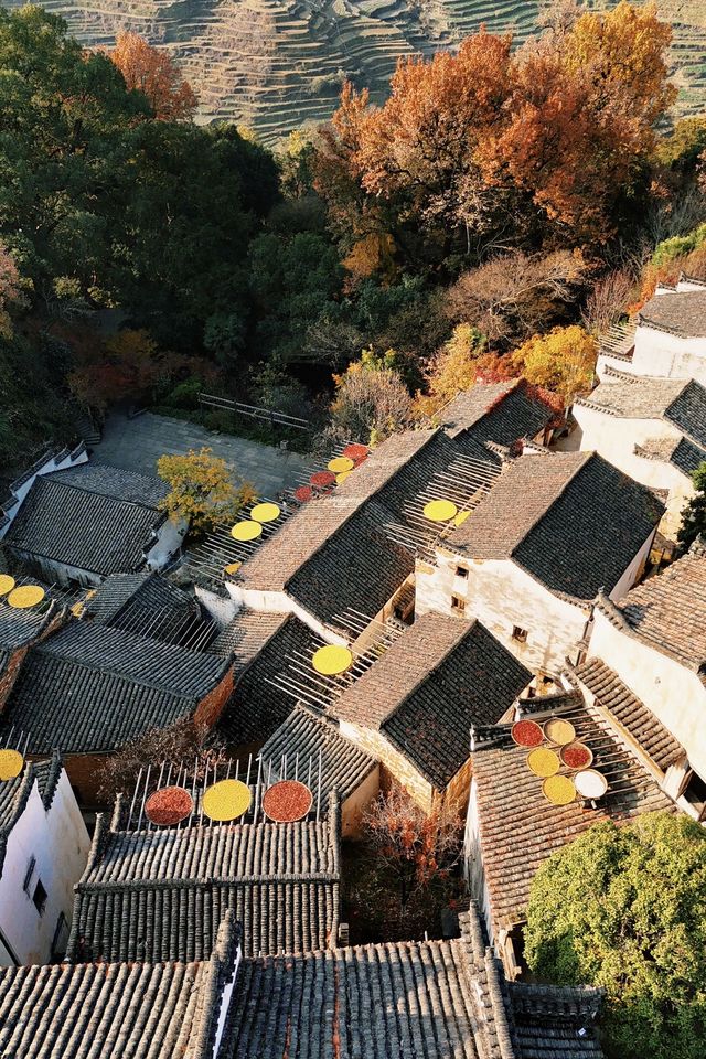 12月去一次「中國最美鄉村」吧！最後一抹秋色在等你。