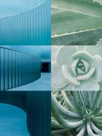 以為海洋館夠絕了，直到闖進上海這片水底森林