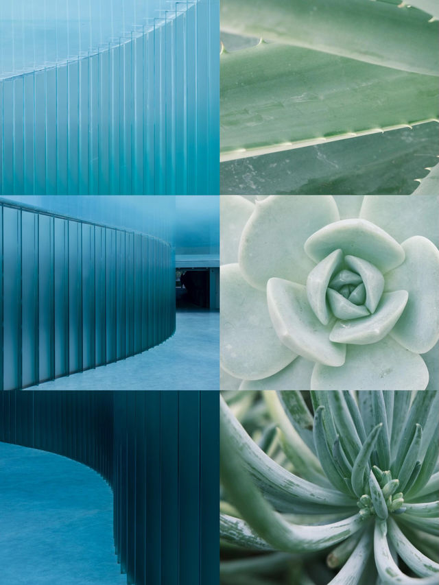 以為海洋館夠絕了，直到闖進上海這片水底森林