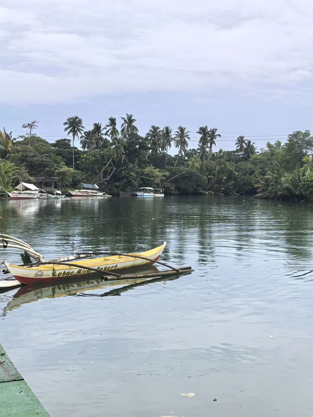 7天玩轉冬日菲律賓錯過等一年