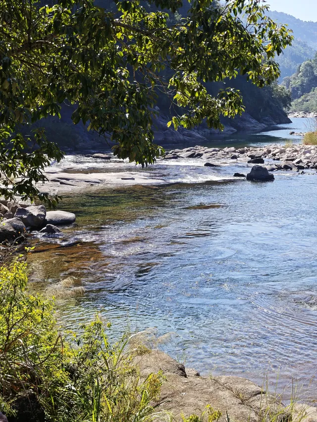 自駕分享: 武夷山國家公園一號風景道 自駕分享: 武夷山國家公園一號風景道