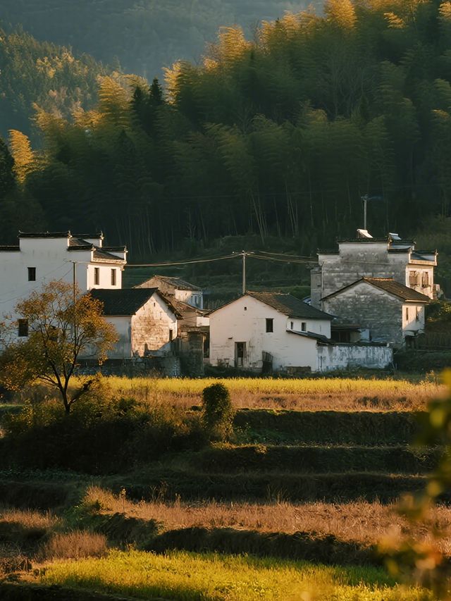 塔川秋季親子遊|紅葉古村+周邊打卡全攻略 塔川秋季親子遊|紅葉古村+周邊打卡全攻略