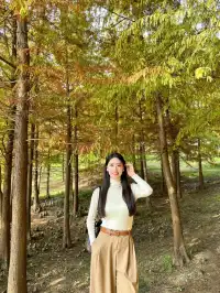 終於等到了12月的南京