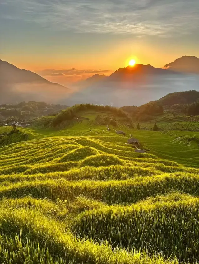 來麗水這樣玩 來麗水這樣玩