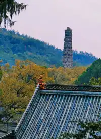 千年古剎-國清寺 靜心之旅