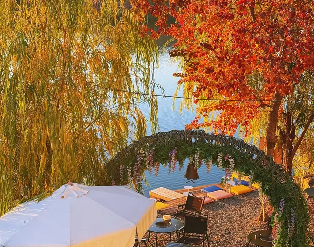 落葉倒數計時!千島湖落日金葉,衝就對了! 落葉倒數計時!千島湖落日金葉,衝就對了!