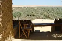 在埃及會忘記自己在哪個世紀