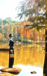 南寧青秀山|落羽杉