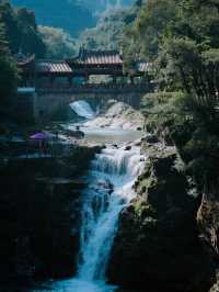 肇慶鼎湖山冬日仙境！親子避暑+吸氧攻略～