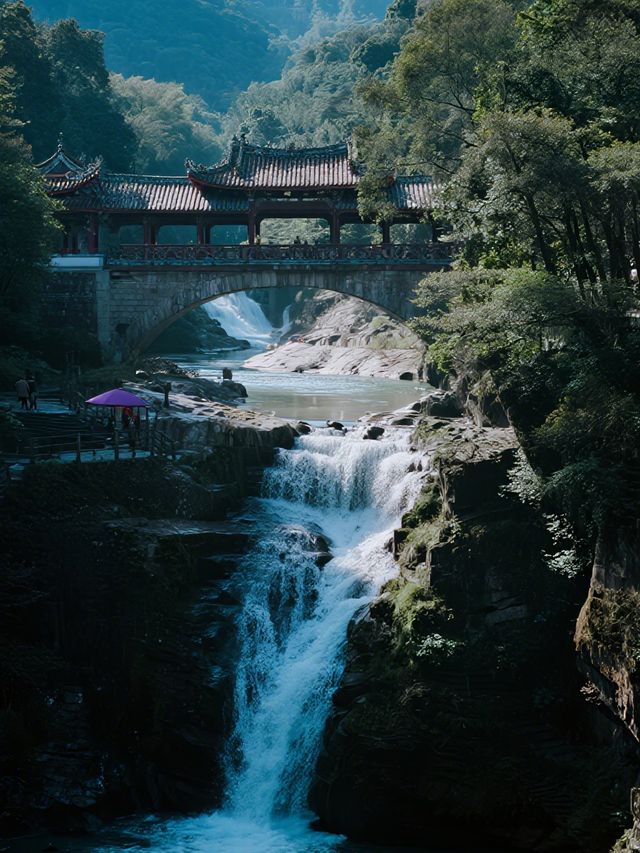 肇慶鼎湖山冬日仙境！親子避暑+吸氧攻略～