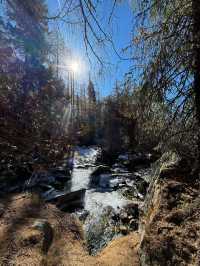 沉浸式體驗 『理小路』