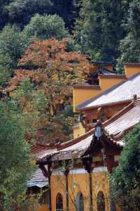 九華山寶藏民宿｜推窗見佛的治癒之旅