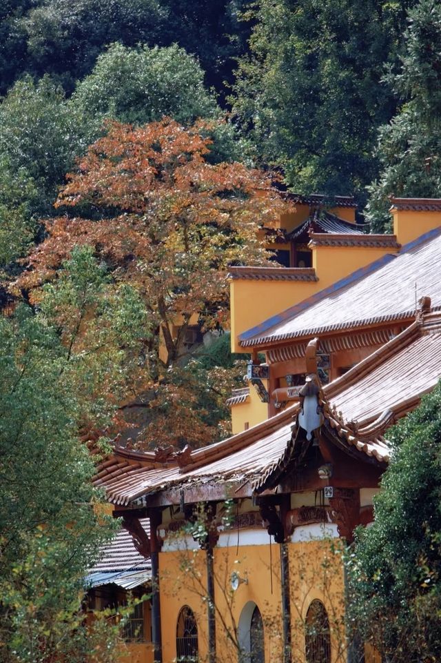 九華山寶藏民宿｜推窗見佛的治癒之旅