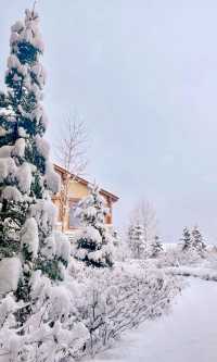 長白山滑雪住喜來登 南方小土豆的冰雪世界