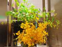 瀋陽親子遊優選地｜一站式承包全家歡樂