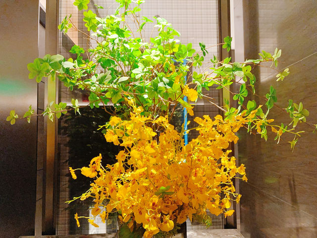 瀋陽親子遊優選地｜一站式承包全家歡樂