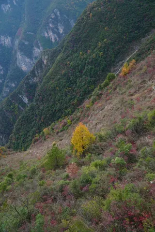 The Goddess Should Be Safe and Surprised by the Changing World｜Three Gorges Goddess Heavenly Road 11.26