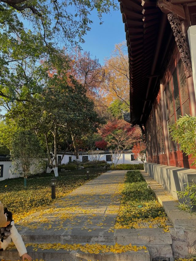 清涼山公園才是金陵賞秋天花板! 清涼山公園才是金陵賞秋天花板!