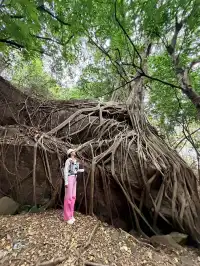 西樵山這個洞穴太好玩了吧!!(三刷)
